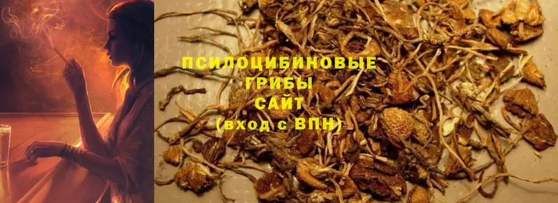 Галлюциногенные грибы MAGIC MUSHROOMS  Кириллов 